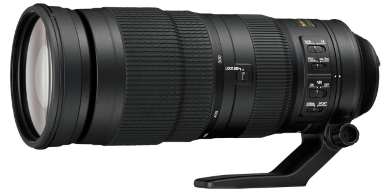 Review of Nikon's 200-500mm f/5.6 Telephoto Zoom Lens for Zoo